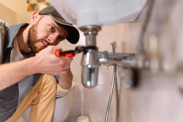 Best Drain Cleaning Services  in Romulus, MI