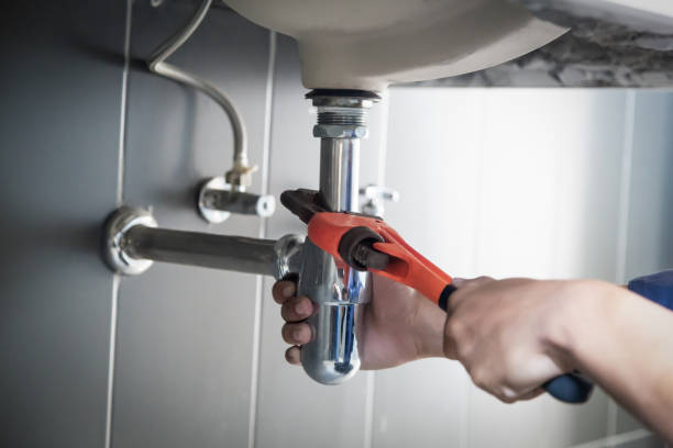 Best Local Plumber Services  in Romulus, MI