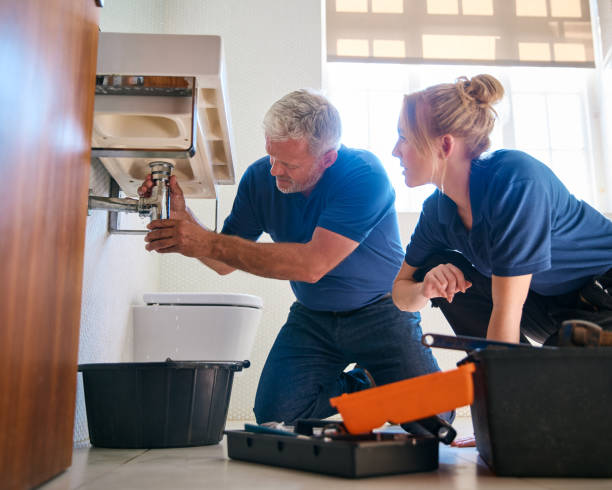 Best Drain Cleaning Services  in Romulus, MI