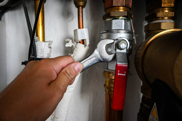 Best Faucet Repair  in Romulus, MI